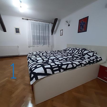 Old Town Studio Braşov Exteriör bild